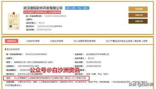 白沙洲青菱建群村软件园项目正式启动，总投资7.1亿元打造计算机软件研发新高地